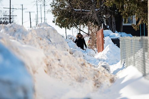 MIKAELA MACKENZIE / WINNIPEG FREE PRESS

Pedestrians struggle to navigate the almost non-existent sidewalk, which has been taken over by snowbanks, on Saint Matthews Avenue in Winnipeg on Tuesday, Feb. 22, 2022. For Malak story.
Winnipeg Free Press 2022.