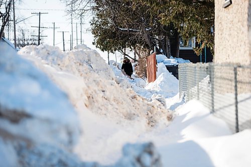 MIKAELA MACKENZIE / WINNIPEG FREE PRESS

Pedestrians struggle to navigate the almost non-existent sidewalk, which has been taken over by snowbanks, on Saint Matthews Avenue in Winnipeg on Tuesday, Feb. 22, 2022. For Malak story.
Winnipeg Free Press 2022.