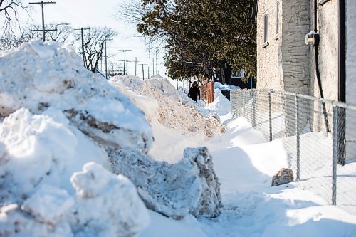 MIKAELA MACKENZIE / WINNIPEG FREE PRESS

Pedestrians struggle to navigate the almost non-existent sidewalk, which has been taken over by snowbanks, on Saint Matthews Avenue in Winnipeg on Tuesday, Feb. 22, 2022. For Malak story.
Winnipeg Free Press 2022.