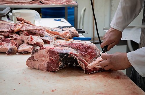 JESSICA LEE / WINNIPEG FREE PRESS

A worker processes beef at Frigs Natural Meats on February 22, 2022.

Reporter: Dave
