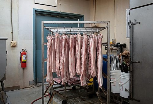 JESSICA LEE / WINNIPEG FREE PRESS

Pork hangs at Frigs Natural Meats on February 22, 2022.

Reporter: Dave
