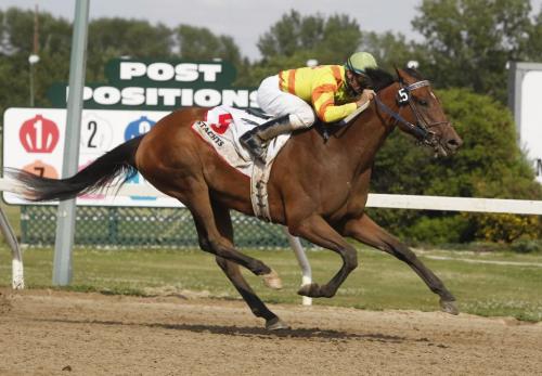 BORIS.MINKEVICH@FREEPRESS.MB.CA  100802 BORIS MINKEVICH / WINNIPEG FREE PRESS Stachys won the 62nd running of the $75,000 Manitoba Lotteries Derby on Monday afternoon at Assiniboia Downs.