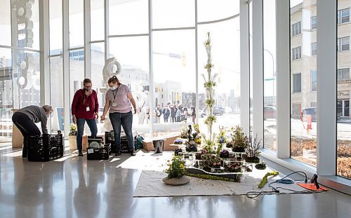 JESSICA LEE / WINNIPEG FREE PRESS

From left to right: June Miston, Dawn Stewart and Zoe Stewart prepare to set up flowers for at Winnipeg Art Gallery on March 31, 2022, in preparation for the Art in Bloom event which takes place Saturday.