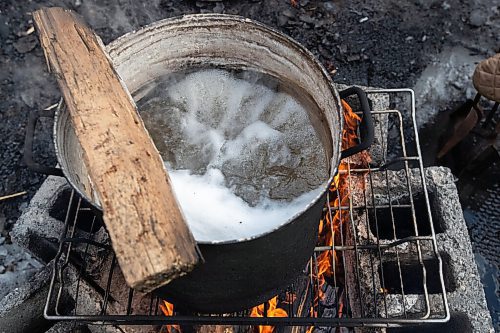 Daniel Crump / Winnipeg Free Press. Jordan Campbell makes his own maple syrup in his backyard. Campbell collects the sap a Manitoba maple in his backyard and boils it down on a fire before finish the process in his kitchen. April 2, 2022.