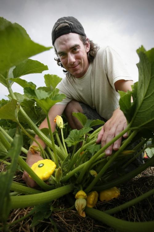 Drew Bouchard (22) picks some Patty Pan Squash at Blue Lagoon Organics, an organic farm in St. Francois Xavier, Monday, August 9, 2010. Bouchard is the winner of the Organic Food Council of Manitoba Farm Mentorship "So You Want To Be An Organic Farmer!" contest. Among the prizes is a two month mentorship at Blue Lagoon. WINNIPEG FREE PRESS/John Woods