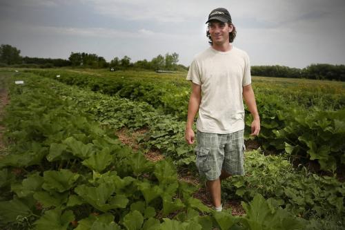 Drew Bouchard (22) walks through a field of Patty Pan Squash at Blue Lagoon Organics, an organic farm in St. Francois Xavier, Monday, August 9, 2010. Bouchard is the winner of the Organic Food Council of Manitoba Farm Mentorship "So You Want To Be An Organic Farmer!" contest. Among the prizes is a two month mentorship at Blue Lagoon. WINNIPEG FREE PRESS/John Woods