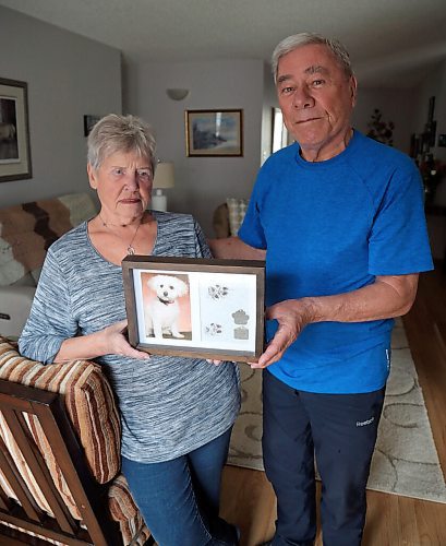 JASON HALSTEAD / WINNIPEG FREE PRESS

Ken and Mary Butchart show off a photo and the dog tag's of their deceased pet Holly in their home on April 7, 2022. Bichon Frisé-cockapoo mix was badly mauled in 2018 by a dog they believe to have been a pitfull.
Re: Malak Abas story