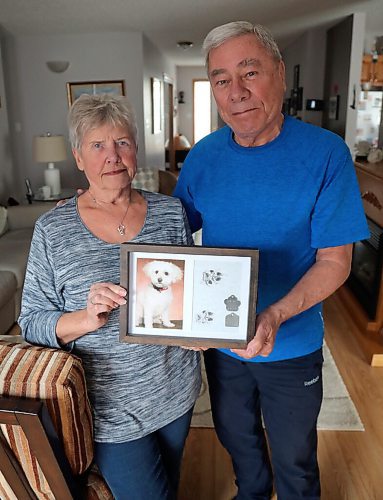 JASON HALSTEAD / WINNIPEG FREE PRESS

Ken and Mary Butchart show off a photo and the dog tag's of their deceased pet Holly in their home on April 7, 2022. Bichon Frisé-cockapoo mix was badly mauled in 2018 by a dog they believe to have been a pitfull.
Re: Malak Abas story