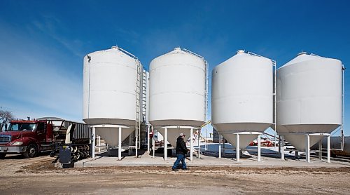 MIKE DEAL / WINNIPEG FREE PRESS
Farmer, Chuck Fossay, inspects various bins on his property about 20 miles west of Winnipeg Friday afternoon. 
Farmers are starting to plan out what to plant this year in light of all the disruptions in the market -- including the war in Ukraine -- that have driven prices up significantly in many commodities.
See Martin Cash story
220408 - Friday, April 08, 2022.