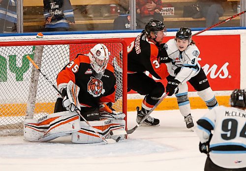 JOHN WOODS / WINNIPEG FREE PRESS
Winnipeg Ice Zach Benson (9) attempts the wraparound on Medicine Hat Tigers Beckett Langkow (35) as Rhett Parsons (3) defends in first period of WHL action at the University of Manitoba Sunday, April 10, 2022. 

Re: Sawatzky