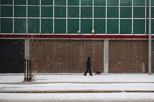 MIKE DEAL / WINNIPEG FREE PRESS
A dog walker braves blizzard conditions on Hargrave Street early Wednesday morning. 
220413 - Wednesday, April 13, 2022.