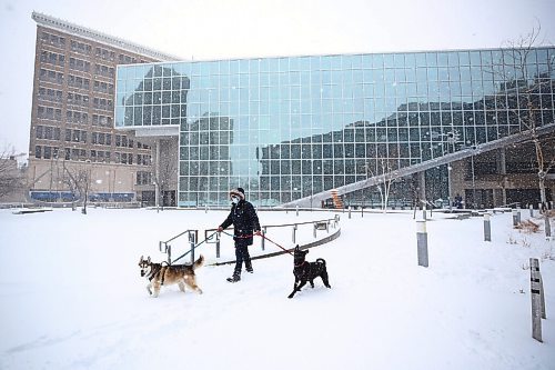 MIKE DEAL / WINNIPEG FREE PRESS
Louis Rodriuez walks Dustin (husky) and Gotda (lab) in the Millennium Library Park Wednesday afternoon during the blizzard. 
220413 - Wednesday, April 13, 2022