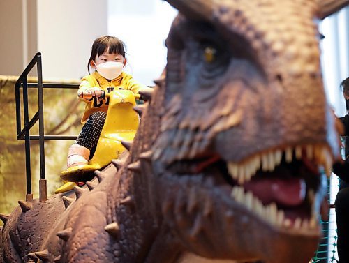 JOHN WOODS / WINNIPEG FREE PRESS
Angel Jia rides a dinosaur during Jurassic Quest at the Convention Centre Friday, April 15, 2022. 

Re: searle