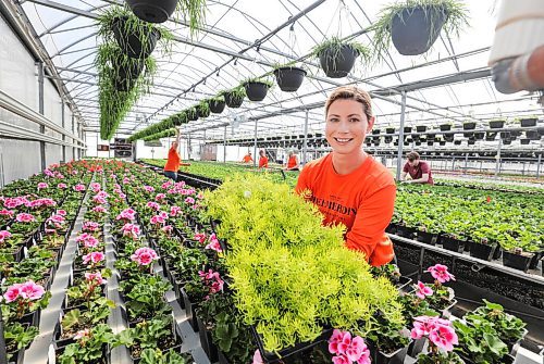 RUTH BONNEVILLE / WINNIPEG FREE PRESS

Local - Gardening postponed 

Nicole Bent, President of Shelmerdine Garden Centre, is busy working with her staff in with their new crops of colourful flowers on Monday.  Even  with the heavy snowfall lately  she says  sales will balance out once the gardening season finally is here. 
 
April 18h,  2022
