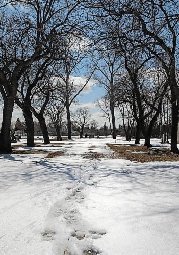 RUTH BONNEVILLE / WINNIPEG FREE PRESS

Local - proposed cell tower

View of pathway in St. Mary's Cemetery at 360 McIvor Avenue where a cell tower might be installed. 

CELL TOWER: Reaching out to some people mad about a cell phone tower proposed in North Kildonan. They claim it will ruin a scenic path.


 MALAK Story


April 21st,  2022
