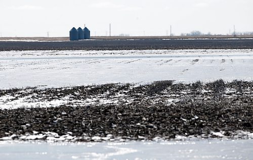 JOHN WOODS / WINNIPEG FREE PRESS
Wet fields just west of Morris Tuesday, April 26, 2022. 

Re: