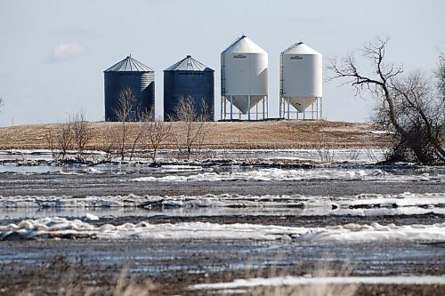 JOHN WOODS / WINNIPEG FREE PRESS
Wet fields just west of Morris Tuesday, April 26, 2022. 

Re: