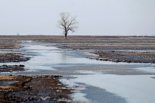 JOHN WOODS / WINNIPEG FREE PRESS
Wet fields just west of Morris Tuesday, April 26, 2022. 

Re: