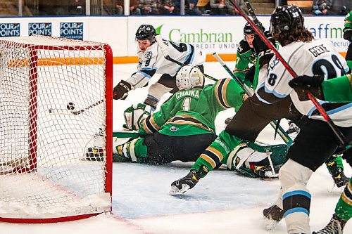 Daniel Crump / Winnipeg Free Press. Winnipeg Ice center Zachary Benson (9) scores against Prince Albert Raiders goaltender Tikhon Chaika (1) as the Winnipeg Ice and Prince Albert Raiders meet at Wayne Fleming Arena, in Winnipeg, for game five of their first round WHL playoff series. The Raiders avoided elimination Wednesday with a 3-1 victory on in Prince Albert. April 29, 2022.