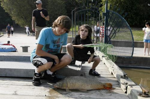 MIKE.DEAL@FREEPRESS.MB.CA 100821 - Saturday, August 21, 2010 -  Pierce Cotte (left), 15, and Logan Kellestine (right), 12, caught this catfish from the dock at The Forks on Saturday afternoon. MIKE DEAL / WINNIPEG FREE PRESS