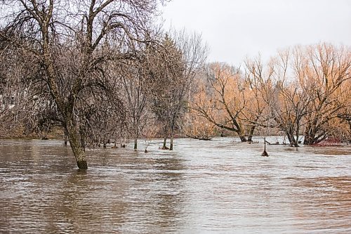 MIKAELA MACKENZIE / WINNIPEG FREE PRESS

Sturgeon Creek overflows its banks, flooding walking paths in the area, in Winnipeg on Monday, May 2, 2022.
Winnipeg Free Press 2022.