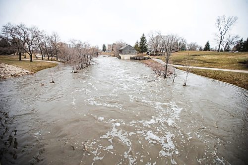 MIKAELA MACKENZIE / WINNIPEG FREE PRESS

Sturgeon Creek overflows its banks, flooding walking paths in the area, in Winnipeg on Monday, May 2, 2022.
Winnipeg Free Press 2022.