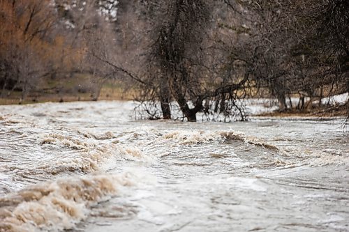 MIKAELA MACKENZIE / WINNIPEG FREE PRESS

Sturgeon Creek rushes near the Woodhaven Bridge in Winnipeg on Monday, May 2, 2022.
Winnipeg Free Press 2022.