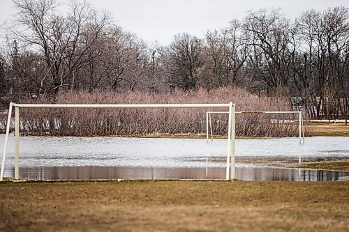 MIKAELA MACKENZIE / WINNIPEG FREE PRESS

Sturgeon Creek overflows its banks, flooding a soccer field, in Winnipeg on Monday, May 2, 2022.
Winnipeg Free Press 2022.