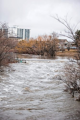 MIKAELA MACKENZIE / WINNIPEG FREE PRESS

Sturgeon Creek overflows its banks, flooding walking paths in the area, in Winnipeg on Monday, May 2, 2022.
Winnipeg Free Press 2022.