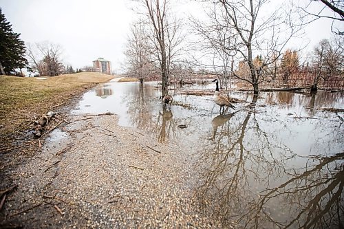 MIKAELA MACKENZIE / WINNIPEG FREE PRESS

Sturgeon Creek overflows its banks, flooding walking paths in the area, in Winnipeg on Monday, May 2, 2022.
Winnipeg Free Press 2022.