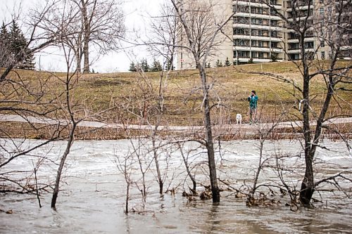 MIKAELA MACKENZIE / WINNIPEG FREE PRESS

Sturgeon Creek overflows its banks, flooding walking paths in the area, in Winnipeg on Monday, May 2, 2022.
Winnipeg Free Press 2022.