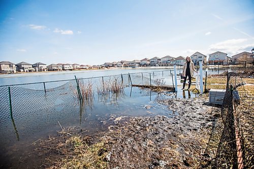 MIKAELA MACKENZIE / WINNIPEG FREE PRESS

Jennifer Lim poses for a portrait in her yard, which is partially flooded by an overflowing retention pond, in Winnipeg on Tuesday, May 3, 2022. For Chris Kitching story.
Winnipeg Free Press 2022.