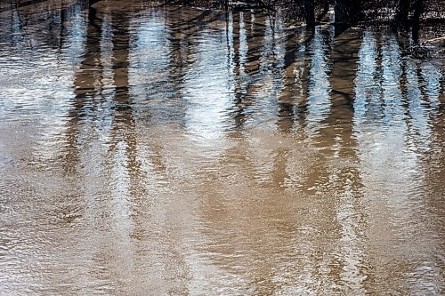 MIKAELA MACKENZIE / WINNIPEG FREE PRESS

The section of the river where the sewage discharges into, south of Chief Peguis Trail, in Winnipeg on Wednesday, May 4, 2022. For Joyanne story.
Winnipeg Free Press 2022.