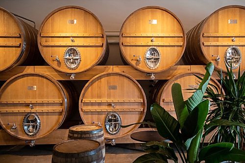 Daniel Crump / Winnipeg Free Press. Large barrel serve a dual purpose as decoration and part of the brewing process at Low Life Barrel House in Winnipeg. May 4, 2022.