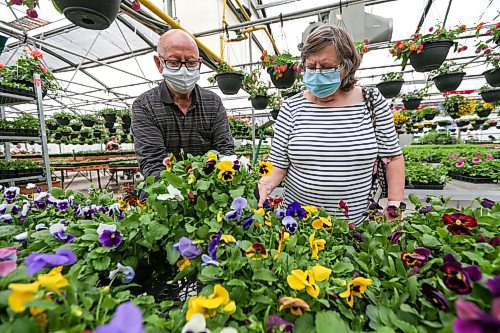 Daniel Crump / Winnipeg Free Press. Joe and Chris Smolak shop for plants at Lacoste Garden Centre. The pair made the trip all the way from their home in Pinawa, Manitoba. May 7, 2022.