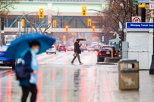 MIKAELA MACKENZIE / WINNIPEG FREE PRESS

Umbrellas dot the streets on yet another rainy day in Winnipeg on Monday, May 9, 2022. Standup.
Winnipeg Free Press 2022.