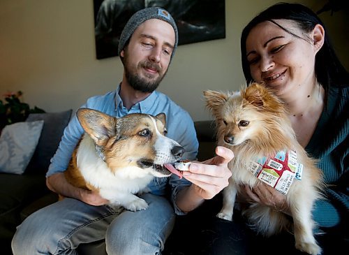 JOHN WOODS / WINNIPEG FREE PRESS
Owners of Woof Doughnuts Kerner Pieterse and Kim Frobisher, treat their dogs Nubi, 3, left, and Coco, 5, to a The Canuck doughnut in Pieterses home in Winnipeg Monday, August 10, 2022. The business partners started their dog doughnut treat business during COVID-19 and the orders just keep coming in.


Re: sanderson