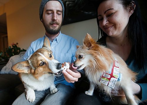 JOHN WOODS / WINNIPEG FREE PRESS
Owners of Woof Doughnuts Kerner Pieterse and Kim Frobisher, treat their dogs Nubi, 3, left, and Coco, 5, to a The Canuck doughnut in Pieterses home in Winnipeg Monday, August 10, 2022. The business partners started their dog doughnut treat business during COVID-19 and the orders just keep coming in.

Re: sanderson