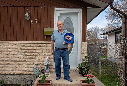 JESSICA LEE / WINNIPEG FREE PRESS

Cliff Reykdal and his dog Nala are photographed on May 12, 2022 at their Winnipeg home. Nala was picked up by a coyote while on a bathroom break and is recovering from the bite.

Reporter: Erik Pindera


