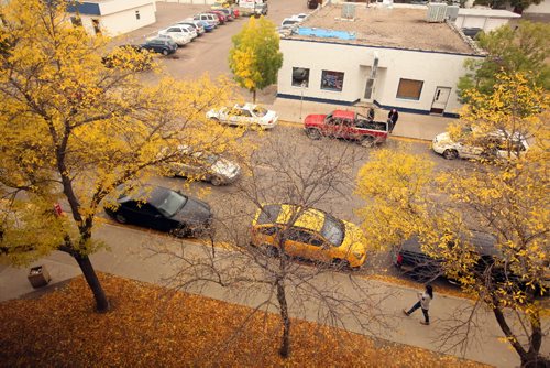 Brandon Sun 2092010 Leaves litter the lawn of the Provincial Government building on 9th St. in Brandon on a cool fall Monday afternoon.  (Tim Smith/Brandon Sun)