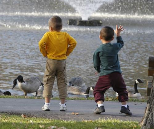 BORIS.MINKEVICH@FREEPRESS.MB.CA  100926 BORIS MINKEVICH / WINNIPEG FREE PRESS Two unidentified boys try to have some fun with some Canadian Geese, who didn't give then the time of day, at St. Vital Park duck pond. The geese enjoyed the warm temperatures and all the bird seed that people were dropping on the shore for them.