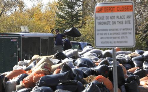 MIKE.DEAL@FREEPRESS.MB.CA 100930 - Thursday, September 30, 2010 -  The leaf depot in the parking lot at the Assiniboine Park Zoo doesn't open until Friday, but that hasn't stopped anyone from unloading this week. MIKE DEAL / WINNIPEG FREE PRESS
