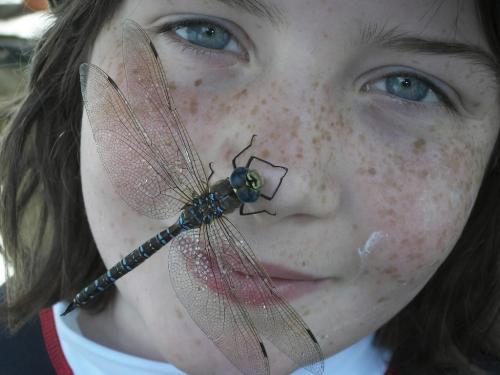 Carolyn Kavanagh(10) had this large dragonfly land on her while spending time at Winnetka Lake, Ontario. photo by Andrea Kavanagh (mom0 show us your summer winnipeg free press