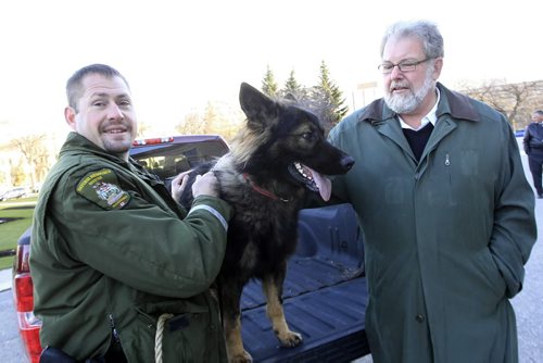 MIKE.DEAL@FREEPRESS.MB.CA 101028 - Thursday, October 28, 2010 -  Manitoba MLA Bill Blaikie (right) and Chad Ducheck a Manitoba Conservation Natural Resources Officer, with two-year-old Rebel outside the Manitoba Legislature. Manitoba Conservation showed off members of its canine enforcement team. See Larry Kusch story MIKE DEAL / WINNIPEG FREE PRESS