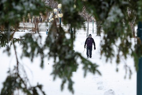 MIKE DEAL / WINNIPEG FREE PRESS
A person walks along an snow filled pathway on the grounds of the Manitoba Legislative building Friday morning after the first big snowfall of the season.
211112 - Friday, November 12, 2021.