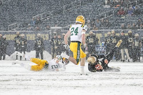 Daniel Crump / Winnipeg Free Press. Players slide in the heavy snow after Alberta&#x573; Jayden Dalke (2) tackles a Manitoba player during the first quarter of the game. University of Manitoba Bisons vs. University of Alberta Golden Bears during the Canada West football semifinal at IG Field in Winnipeg on Saturday. November 13, 2021.