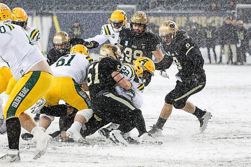 Daniel Crump / Winnipeg Free Press. A herd of Bisons players tackle Alberta&#x573; Johnathan Rosery (22). University of Manitoba Bisons vs. University of Alberta Golden Bears during the Canada West football semifinal at IG Field in Winnipeg on Saturday. November 13, 2021.
