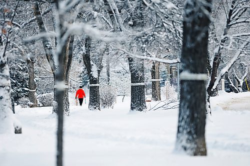 JOHN WOODS / WINNIPEG FREE PRESS
People were out enjoying the snow covered trees along Wellington Crescent in Winnipeg on Sunday, November 7, 2021. 

Re: Thorpe