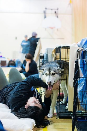 MIKAELA MACKENZIE / WINNIPEG FREE PRESS
Manitoba Underdogs volunteer Jasmyn Monkan pets a dog recovering from surgery at a dog spay and neuter clinic on the Chemawawin First Nation Reserve, Manitoba on Saturday, Feb. 24, 2018. Many Northern Manitoban communities have problems with stray dog overpopulation, and initiatives like these aim to reduce their numbers in a humane way while increasing the quality of life for dogs and humans.
180224 - Saturday, February 24, 2018.