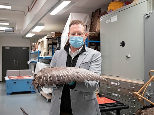 JESSICA LEE / WINNIPEG FREE PRESS

Dr. Roland Sawatzky holds a hunting device that was used to attract other birds in the Manitoba Museum archives on November 15, 2021.

Reporter: Brenda








